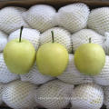 Fresh New Season Golden Pear From China
